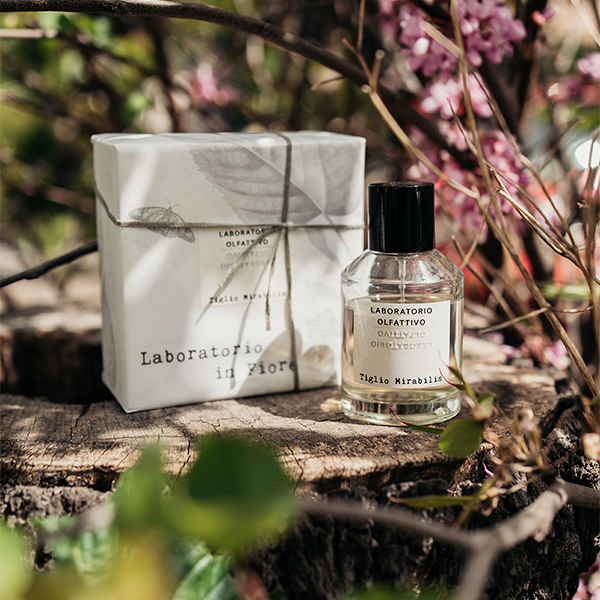 香水(ユニセックス) LABORATORIO OLFATTIVO Tiglio Mirabilis TIGLIO MIRABILIS - LABORATORIO OLFATTIVO – Fragrance Passion