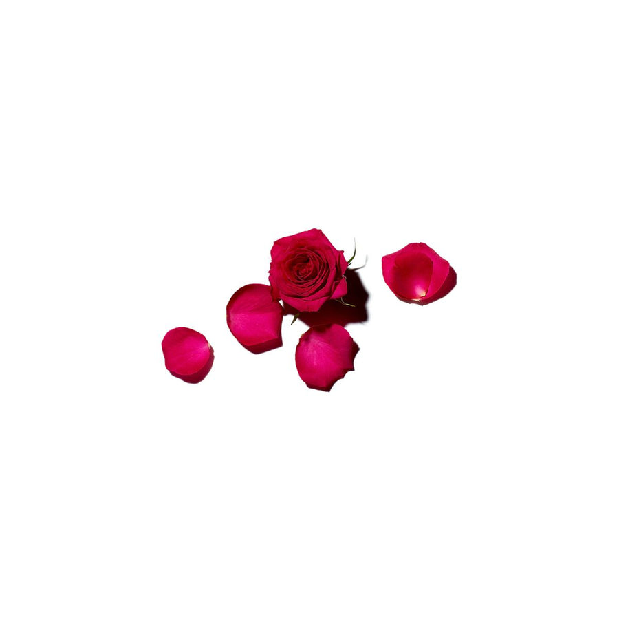 Benamor Rose Amélie Body Lotion - Piccolaprofumeria